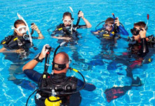 Train in Diving or Have Further Training for New Stars